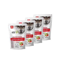 BPN Best Plus Nutrition Molotov Coctail 3 Alana 1 Bedava (4 x Bpn Molotov Coctail Pre Workout 210 Gr) Kombinasyon